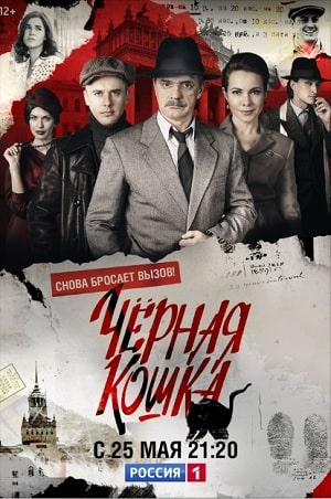 Черная кошка (сериал, 1-2 сезоны, все серии)